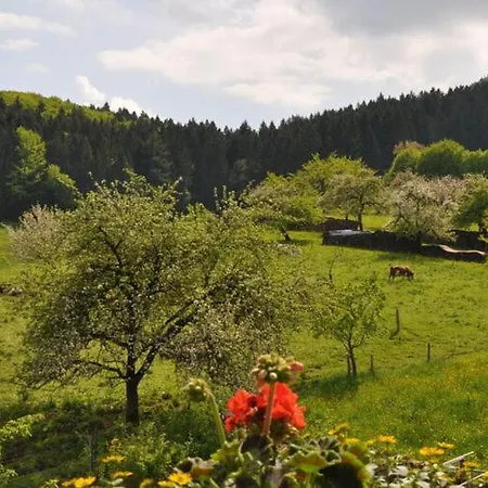 Apartment Holiday Schlageter Kleines Wiesental